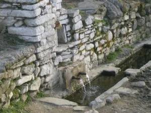 Селската чешма